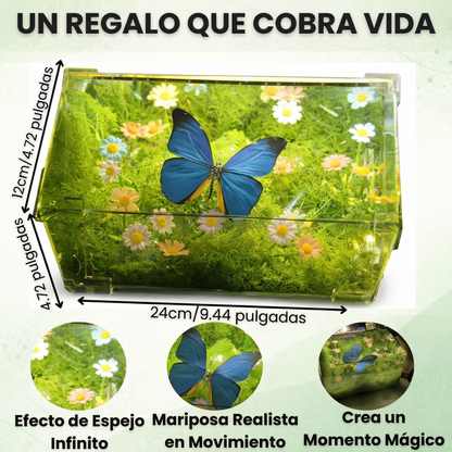 Caja de la Serenidad de las Mariposas: un regalo viviente